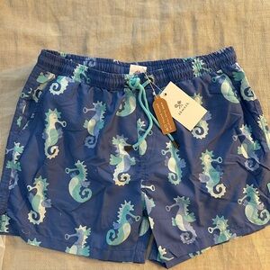 NWT | Skwosh Men’s Sea Biscuit Swim Shorts | Size Large | Brief Liner